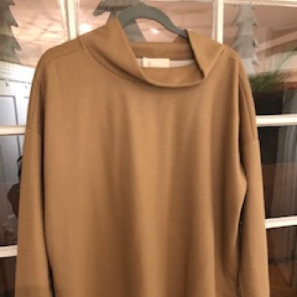Anthropologie Brushed Tan Tunic